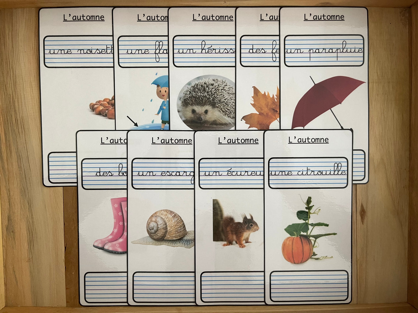 Ecriture cursive automne