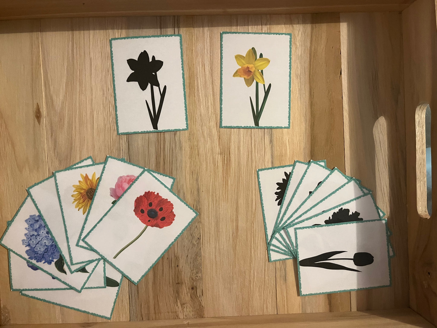 Association d'ombres