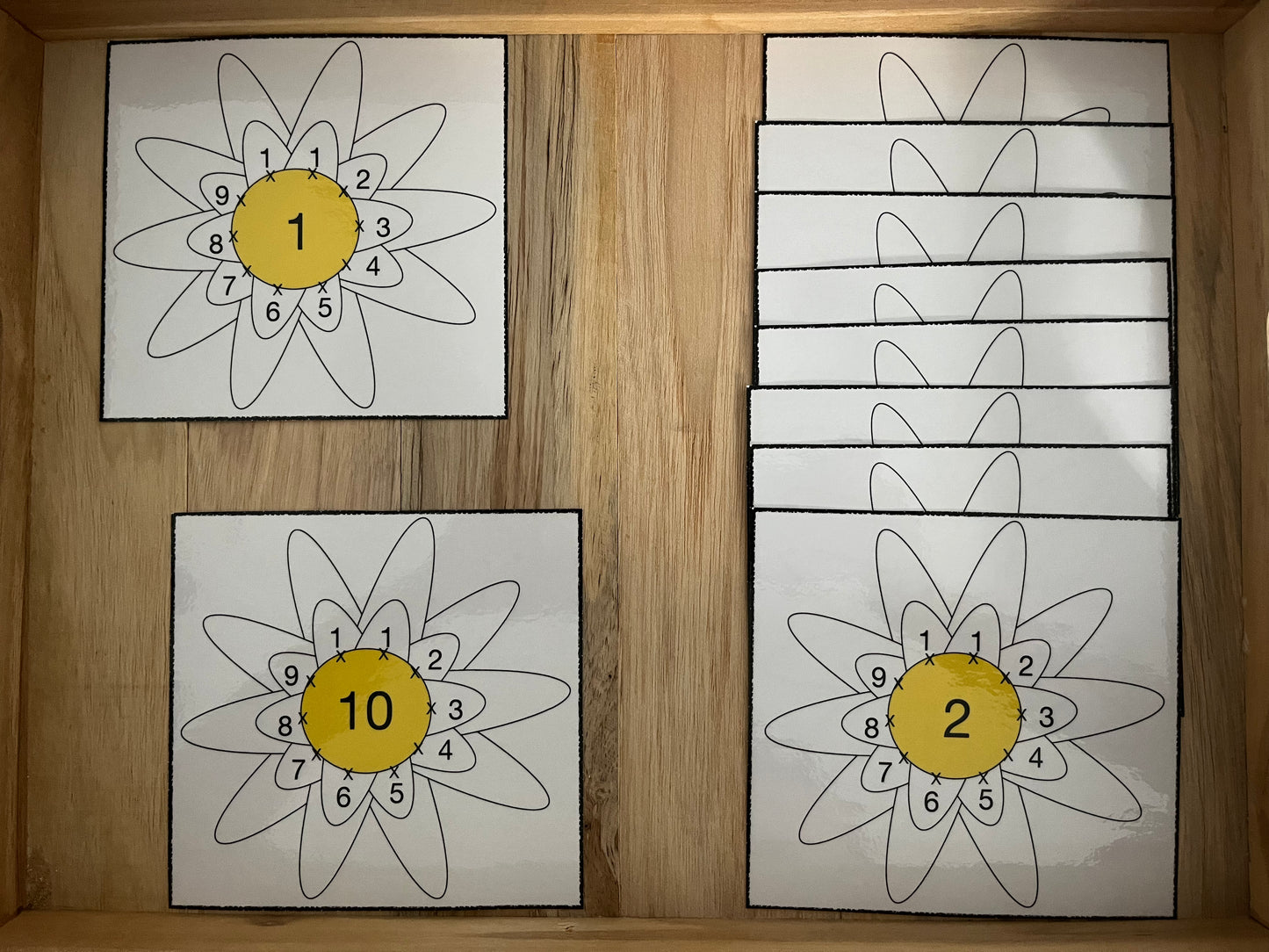 Fleurs de multiplications