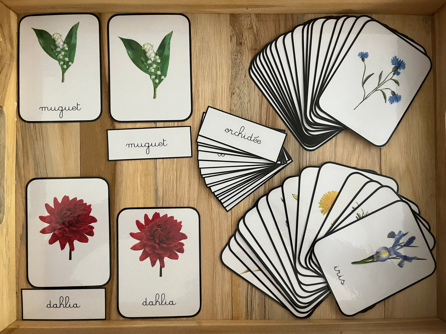 Cartes de nomenclatures des fleurs