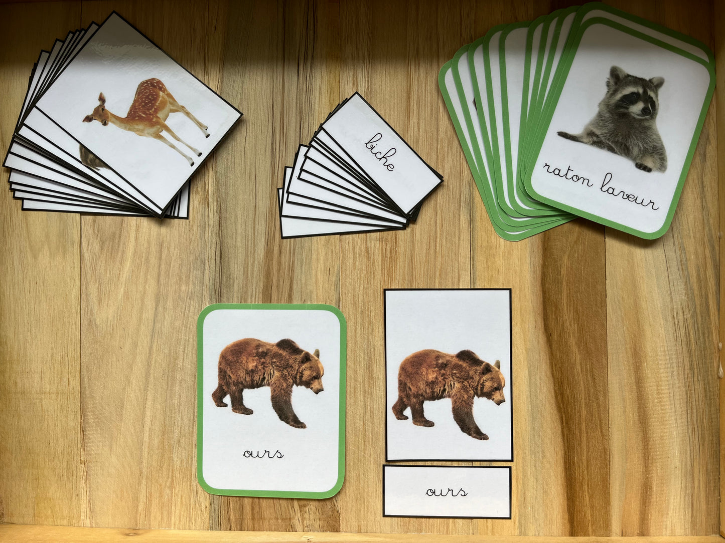 Cartes de nomenclature animaux de la foret