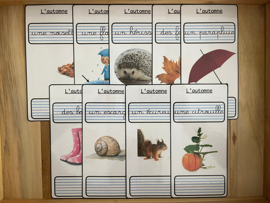 Ecriture cursive automne