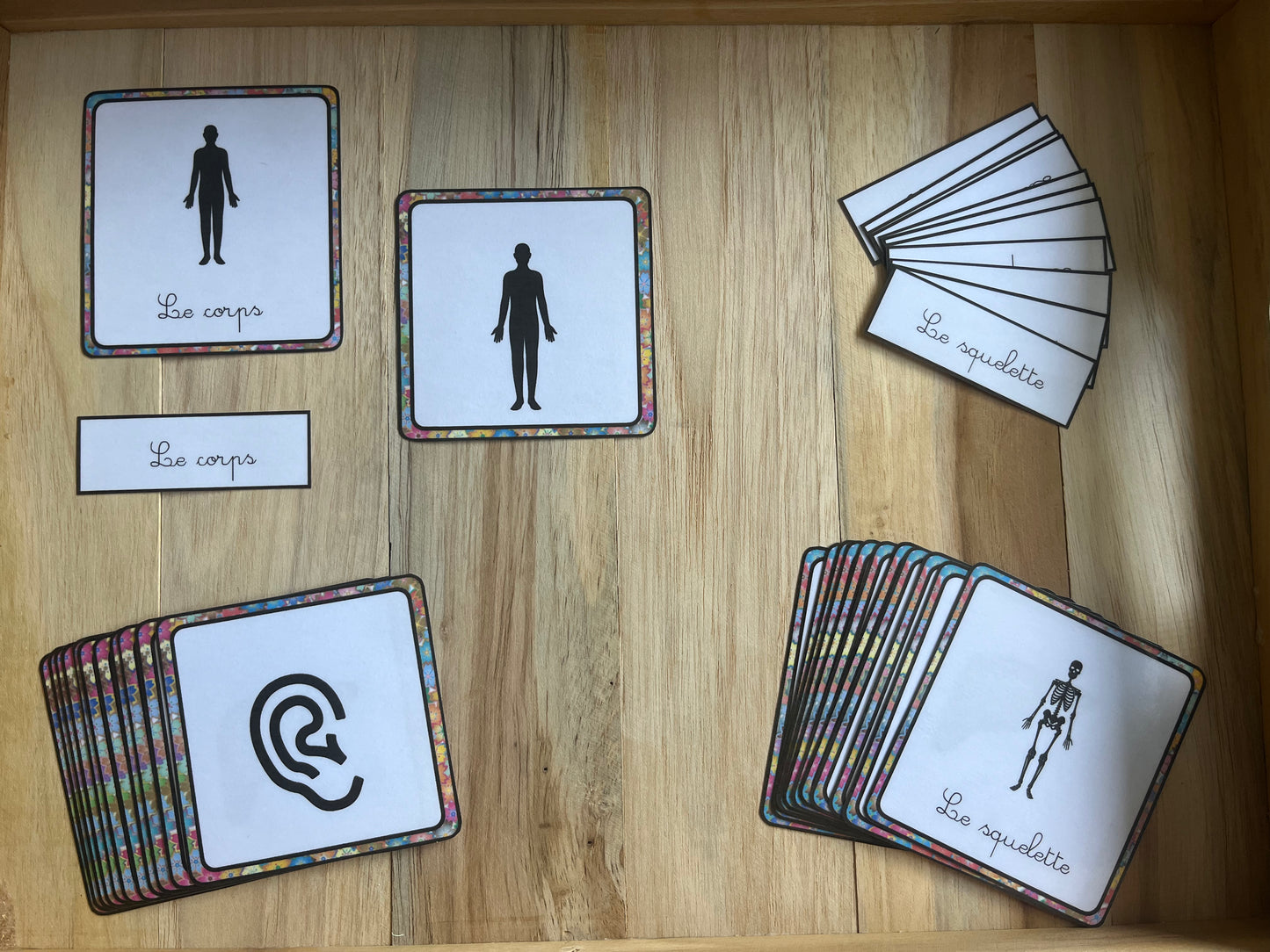 cartes de nomenclature du corps humain