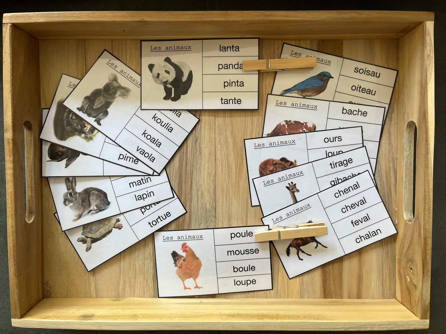 Cartes à pincer des animaux