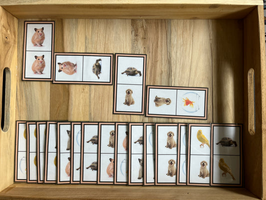 Dominos des animaux domestiques