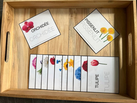 Écriture des fleurs