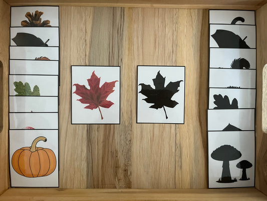 Feuilles en ombre( automne)