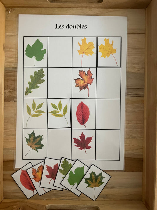 Paires de feuille d’automne