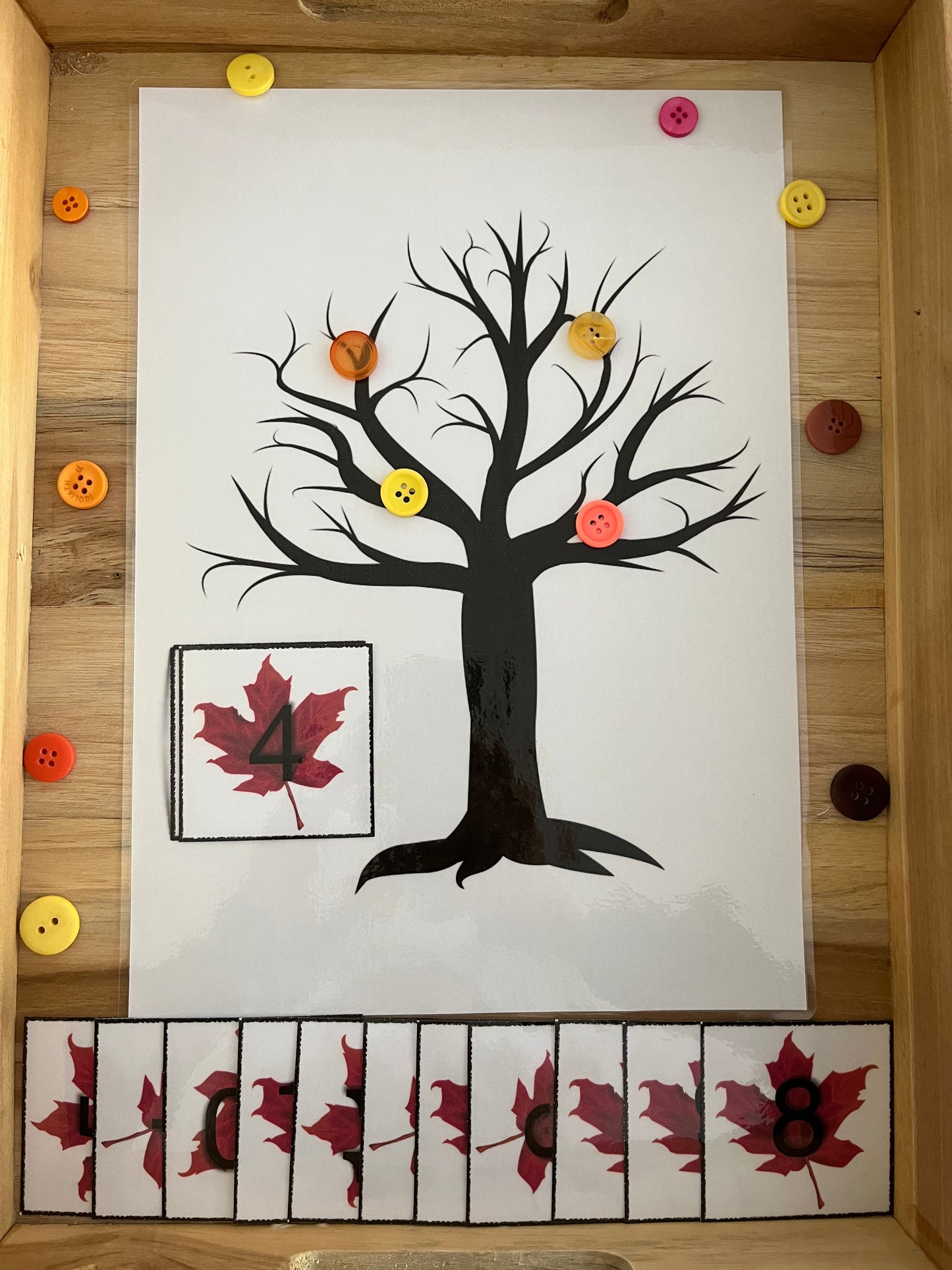 Boutons d'arbre (spécial automne)