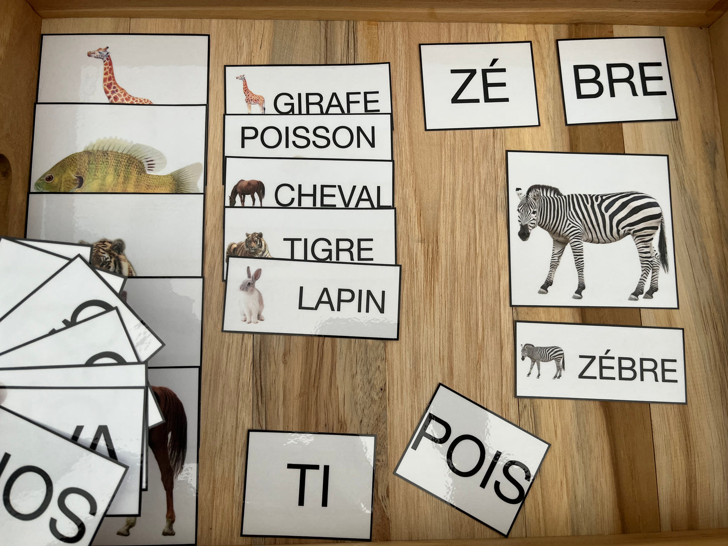 Animaux et syllabes