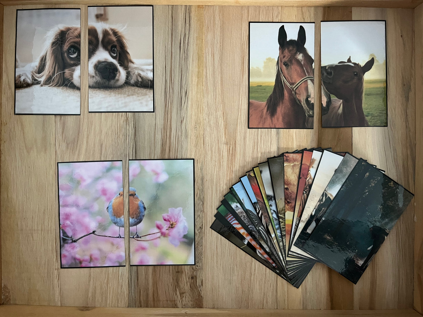 Puzzle 2 pieces d'animaux