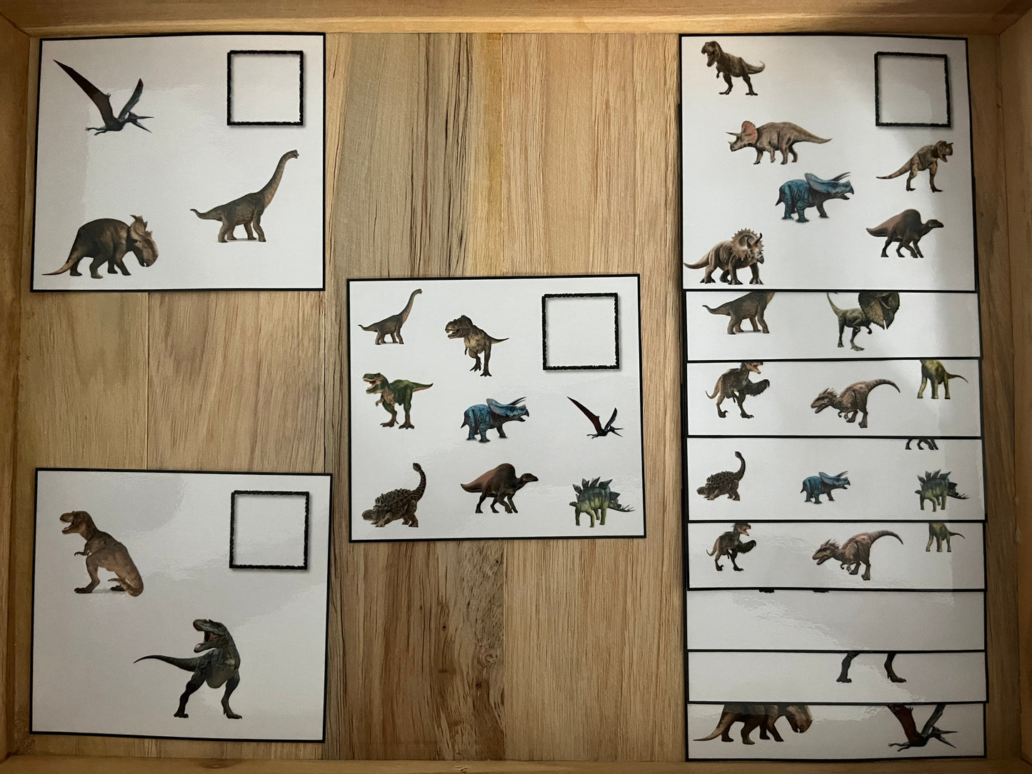 Cherches et comptes des dinos