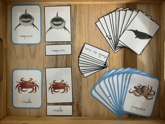 Cartes de nomenclature animaux marin