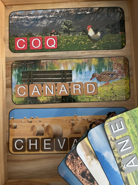 Ecriture des animaux de la ferme