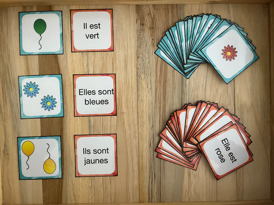 Association singulier/pluriel et féminin/masculin