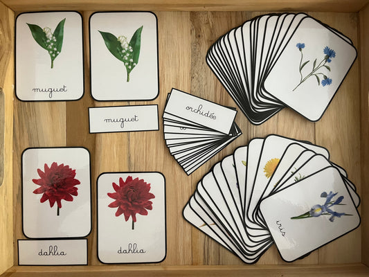 Cartes de nomenclatures des fleurs