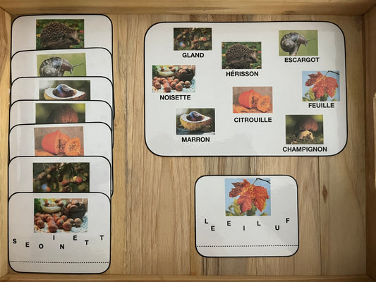 Cartes lettres en désordre (automne)