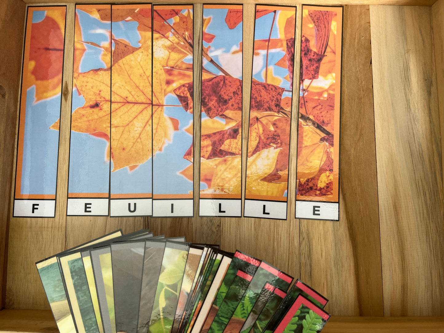 Suite de lettres (spécial automne)