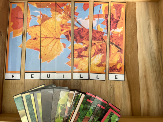 Suite de lettres (spécial automne)